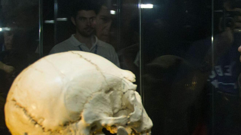 Dal tartaro antico nuova luce sulla medicina preistorica