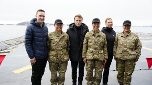 Francia chiede esercitazione Nato in Groenlandia, 'pronti a contribuire'