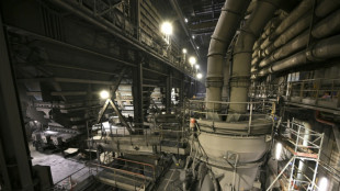 En 2022, les Fran&ccedil;ais ont frein&eacute; sur le gaz, sauf pour produire de l'&eacute;lectricit&eacute;
