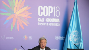 Cop16, l'Onu chiede pi&ugrave; fondi a difesa della biodiversit&agrave;