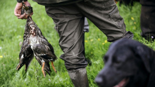 J&auml;gerpr&uuml;fungen in Deutschland: 2024 dritth&ouml;chster Wert seit 75 Jahren