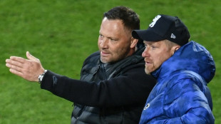 Weber und Neuendorf f&uuml;r Bobic - R&uuml;ckendeckung f&uuml;r Schwarz