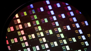 Markets rise as Trump chip exemptions boost tech giants  