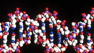 Il destino non &egrave; scritto nel Dna, ma in un mix di fattori