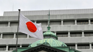 El PIB japonés se contrae 0,2% en primer trimestre por baja demanda