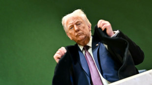 Republicans eye 'Trump-palooza' convention ahead of US midterms