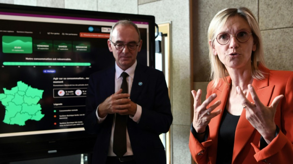 En r&eacute;gion parisienne, un hiver de vigilance pour les anges gardiens de l'&eacute;lectricit&eacute;