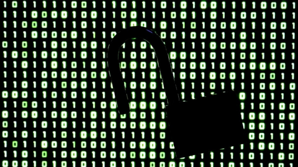 Fallos de seguridad detectados por la IA causan problemas en webs de todo el mundo