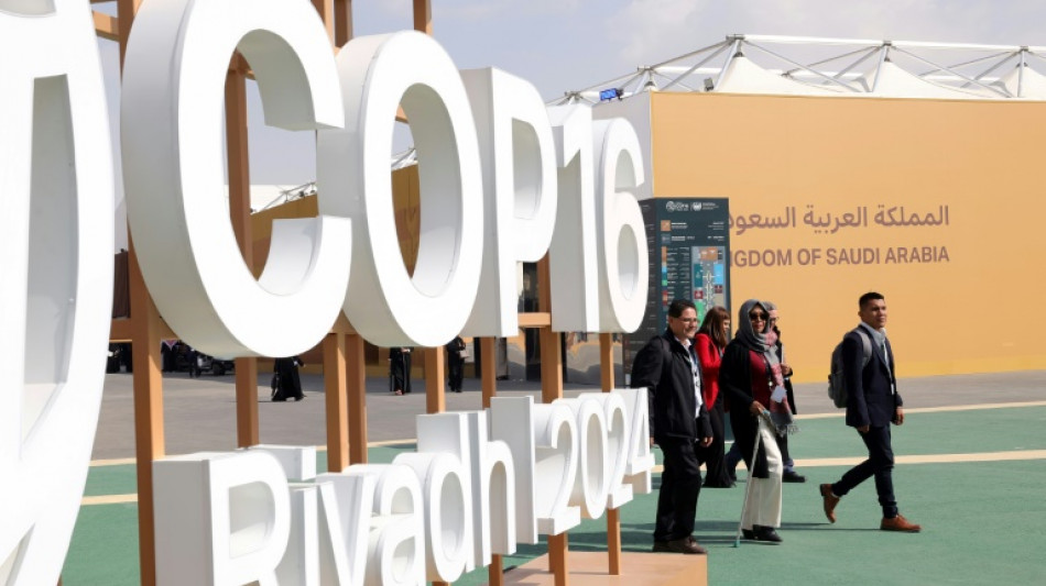 UN-Konferenz zur W&uuml;stenbildung in Saudi-Arabien er&ouml;ffnet