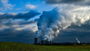 Umfrage: Deutsche w&uuml;rden f&uuml;r Klimaschutz auf Feuerwerk und Fleisch verzichten 