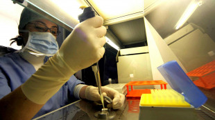 Scoperti nuovi indizi sull'invecchiamento ovarico