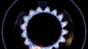 Il gas apre in calo sul mercato di Amsterdam (-0,39%)