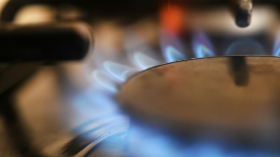 Les r&eacute;serves fran&ccedil;aises de gaz sont remplies &agrave; 100% 
