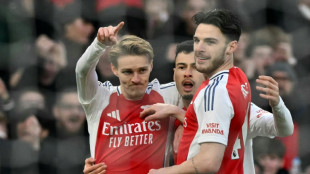 Angleterre: Manchester City gifl&eacute; par Arsenal