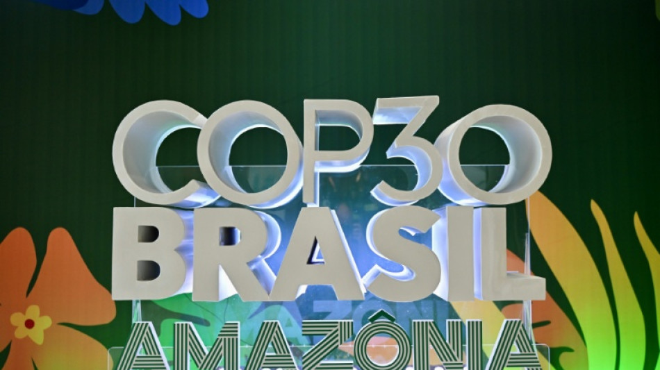 Anfitri&atilde;o da COP30, Brasil ostenta balan&ccedil;o positivo em mat&eacute;ria clim&aacute;tica