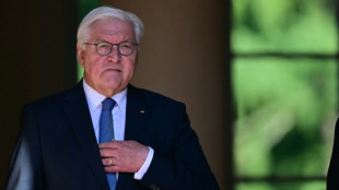 Steinmeier hält Koalition nach Richterstreit für "beschädigt"