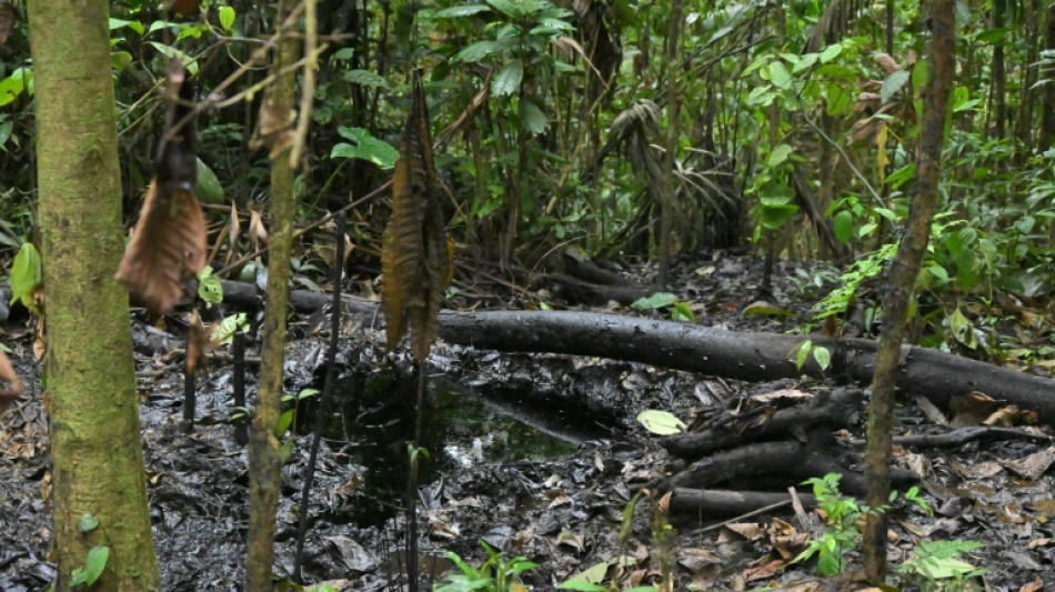 "Ca suffit": l'indignation des peuples de l'Amazonie &eacute;quatorienne face &agrave; l'extraction p&eacute;troli&egrave;re