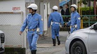 Japan city relieved as bear caught after roaming streets for days