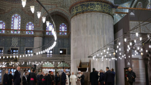 En Turquie, L&eacute;on XIV visite la Mosqu&eacute;e bleue d'Istanbul