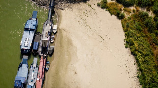 Faced with historic drought, the Dutch rethink water management