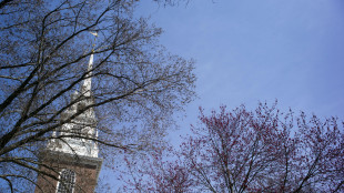 Cina, 'Usa politicizzano istruzione con bando su Harvard'