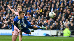Brighton too good for Grimsby, Sheffield Utd into FA Cup semis