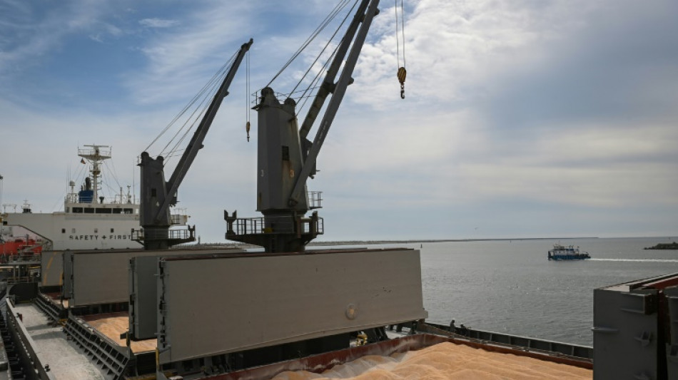 Constanta, port roumain providentiel pour les c&eacute;r&eacute;ales ukrainiennes