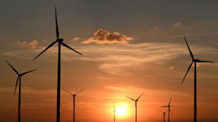 Rekord bei Ausschreibung f&uuml;r Windkraft-Anlagen