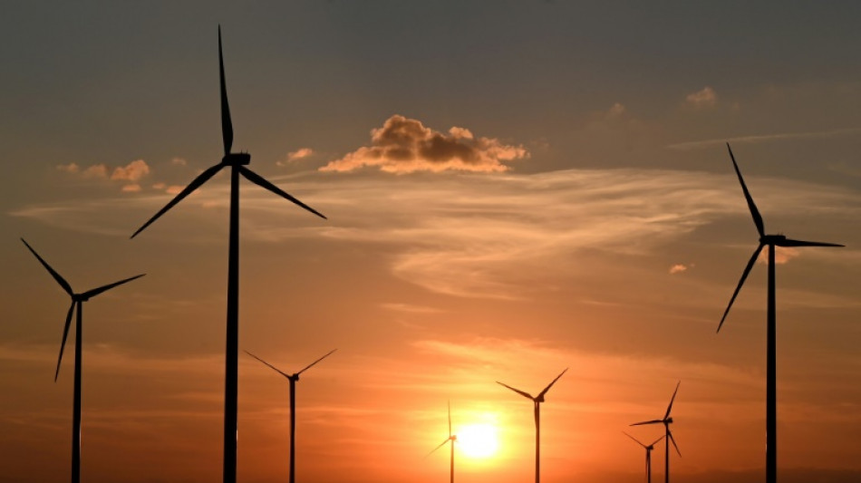 VDMA: Neuer Rekord bei Genehmigungen f&uuml;r Windkraftanlagen an Land