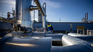 Il gas chiude in forte rialzo sopra a 48 euro ad Amsterdam