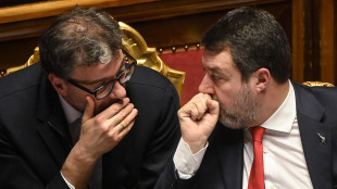 Punto Salvini-Lega sui dazi, 'troppi limiti dell'Ue'
