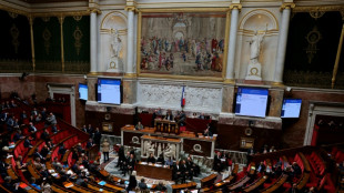 Les députés entament dans la douleur l'examen du projet de loi simplification