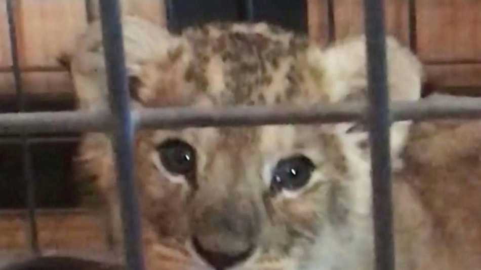 La Fondation 30 millions d'amis gère mal ses finances, selon la Cour des comptes