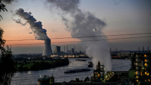 Bundestag gibt gr&uuml;nes Licht f&uuml;r neue Gaskraftwerke