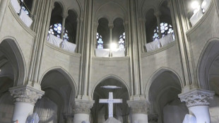 Cinq ans apr&egrave;s l'incendie, Notre-Dame de Paris retrouve de sa splendeur