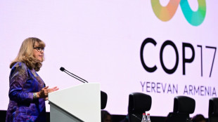 Biodiversit&eacute;: &agrave; quelques heures de la fin de la COP17, peu d'optimisme sur un consensus