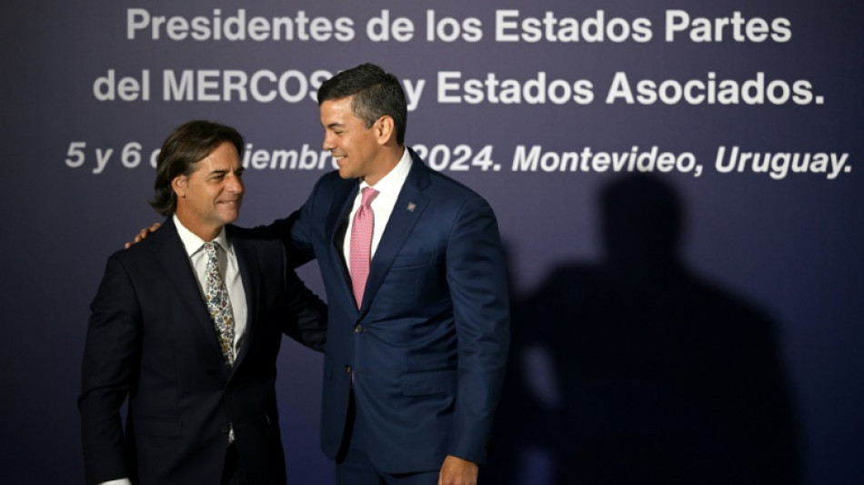 El acuerdo UE-Mercosur beneficiará "principalmente" a Europa, asegura el presidente de Paraguay a AFP