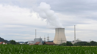 Scholz stellt schnelle L&ouml;sung im Ampel-Streit um Atomkraft in Aussicht