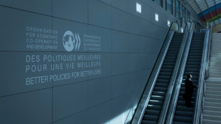 OECD ups world economic outlook as tariffs contained, for now