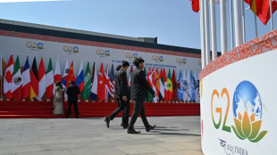 L'Inde ouvre le G20 Finances sur un appel &agrave; r&eacute;former les institutions internationales
