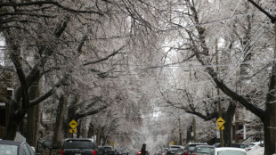 Temp&ecirc;te de glace dans l'est du Canada: deux morts, importants d&eacute;g&acirc;ts mat&eacute;riels