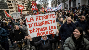Retraites: les militants RN h&eacute;sitent &agrave; se joindre aux cort&egrave;ges