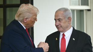Trump hosts Netanyahu, hopes for Israel-Hamas deal 'this week'