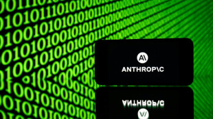 Finanzministerium: KI-Cyberattacken k&ouml;nnten sich auf Finanzstabilit&auml;t auswirken