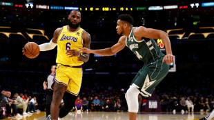 NBA: Giannis et LeBron en t&ecirc;te des premiers votes pour le All-Star Game