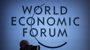 A Davos, l'Afrique veut s&eacute;duire les investisseurs