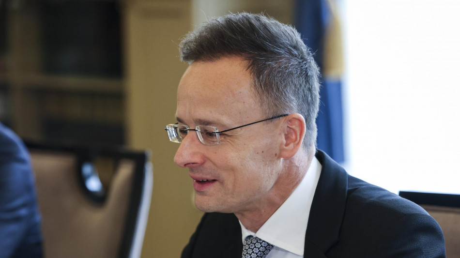 Budapest, 'Ue incompetente, prezzo dei dazi ai cittadini'