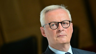 Dette: Fitch maintient la note de la France, Le Maire "totalement d&eacute;termin&eacute;" &agrave; r&eacute;tablir les finances