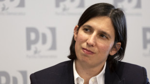 Schlein,il governo accuser&agrave; noi d'aver messo chiodi sulle rotaie