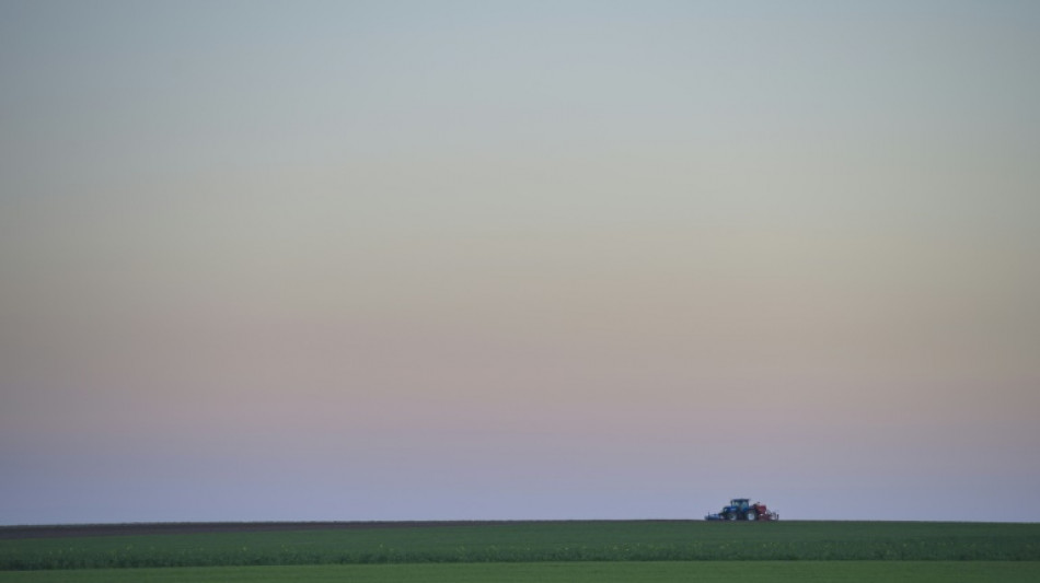 Bundesgerichtshof: Patient darf Hausarzt Grundstück versprechen